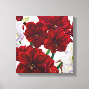 Toile Amaryllis rouge et blanche 2008