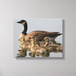 Toile Amateurs canadiens d'Oies et d'oiseaux Cadeaux
