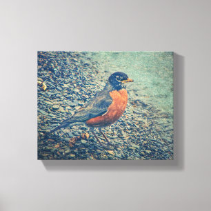 Toile américaine enrobée d'oiseaux Robin