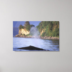 Toile Amérique du Nord, États-Unis, Alaska, Passage inté