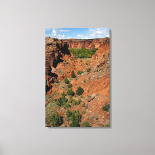 Toile Amérique du Nord, États-Unis, Arizona, Indien Nava