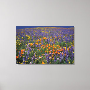 Toile Amérique du Nord, États-Unis, Californie, Los Ange