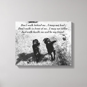 Toile Amis - Black Lab