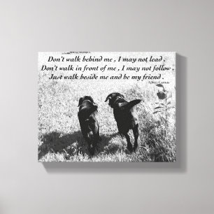 Toile Amis - Black Lab