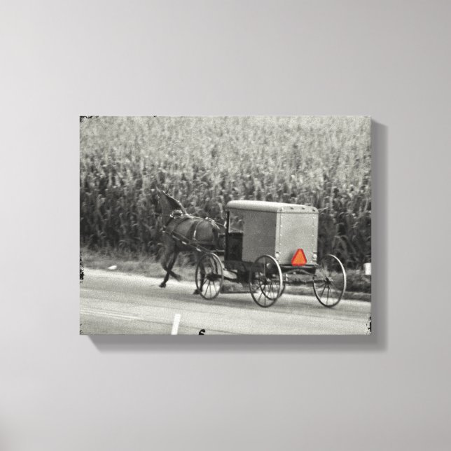 Toile Amish Buggy Monochrome (Recto)