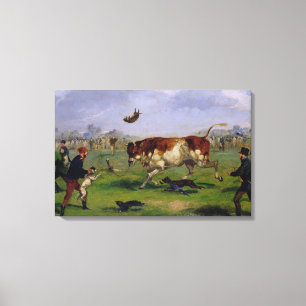 Toile Amorce de Taureau (huile sur le papier étendu sur
