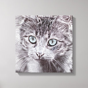 Toile Amour de chaton Mignon chat avec des yeux bleus lu