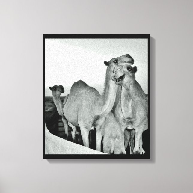 Toile Amour du chameau (Recto)