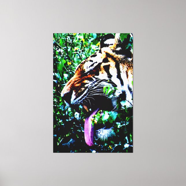 Toile Amur Tiger 40x60 (100x150cm) waccna (Recto)