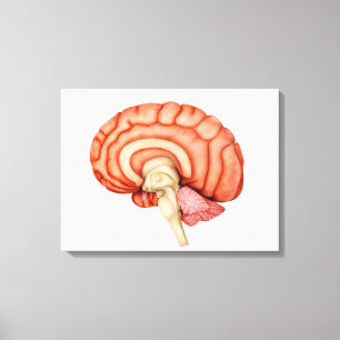 Toile Anatomie de l'esprit humain, vue de côté 1