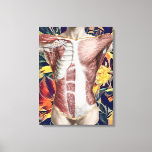 Toile anatomie masculine humaine art original abstrait t