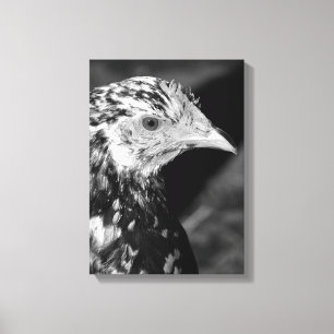 Toile Ancona Hen