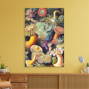 Toile Anémones de mer sous-marines vintage par Ernst Hae