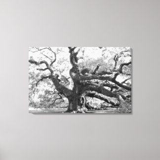 Toile Angel Oak on canvas