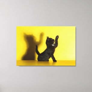 Toile Animaux de bébés cutest   Black Cat Jouer