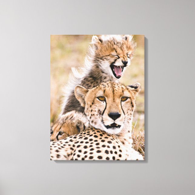 Toile Animaux de bébés cutest | Cheetah Cat & Cub (Recto)