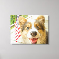 Animaux de bébés cutest | Chiot de Corgi Patriotiq