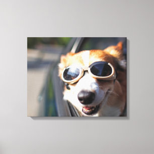 Toile Animaux de bébés cutest Corgi lunettes dans la v