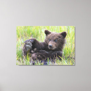 Toile Animaux de bébés cutest   Cute Brown Bear Cub Joue