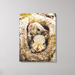 Toile Animaux de bébés cutest   Écureuils curieux