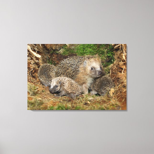 Toile Animaux de bébés cutest | Famille Hérisson (Recto)
