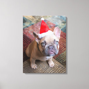Toile Animaux de bébés cutest French Bulldog Christmas