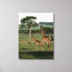 Toile Animaux de bébés cutest   Giraffe Calf & Mama