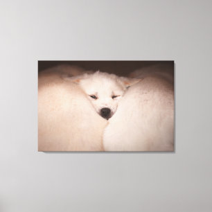 Toile Animaux de bébés cutest   Golden Retriever Snuggle