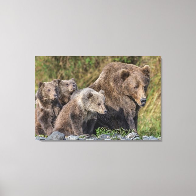 Toile Animaux de bébés cutest | Kodiak Mama Bear & Cubs (Recto)