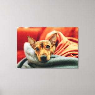 Toile Animaux de bébés cutest Miniature Pinscher