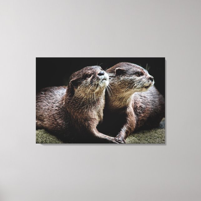 Toile Animaux de bébés cutest | Otters tenant les mains (Recto)