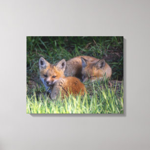 Toile Animaux de bébés cutest   Paire de frères et soeur