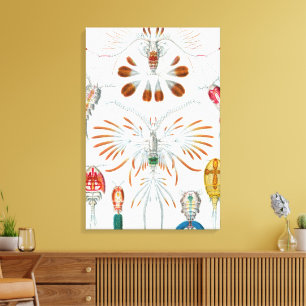 Toile Animaux océaniques vintage, Copépodes par Ernst Ha