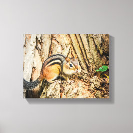 Toile Animaux sauvages de la faune de jolie Tamia Nature