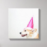 Anniversaire Pembroke Welsh Corgi Chien