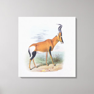 Toile Antilope, "du livre des antilopes",