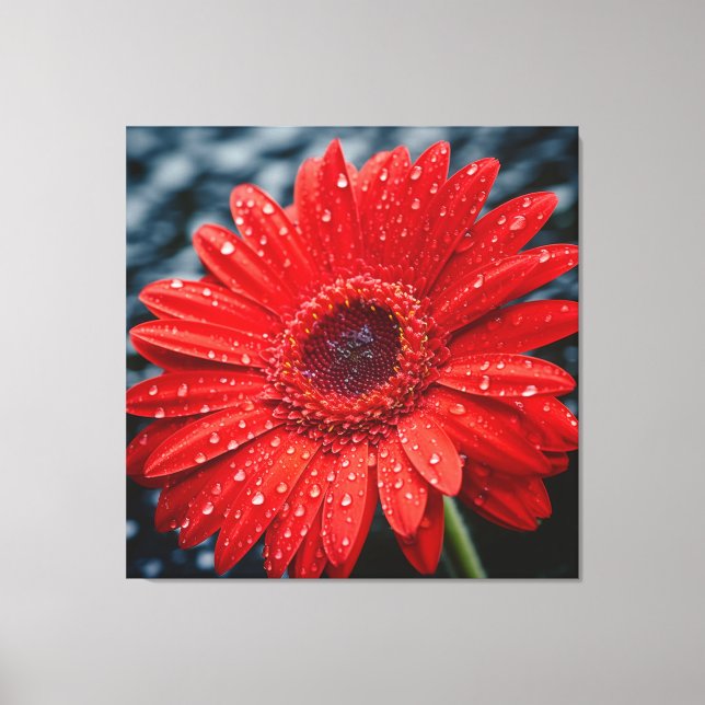 Toile Après la pluie Gerbera Daisy Peinture réaliste (Recto)