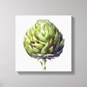 Toile Aquarelle botanique d'Artichoke