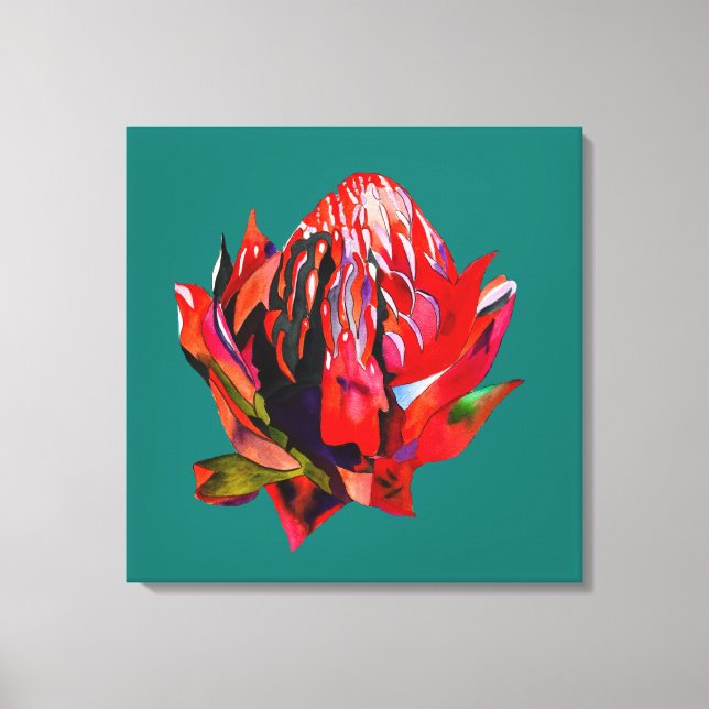 Toile Aquarelle de fleurs indigènes de Waratah (Recto)