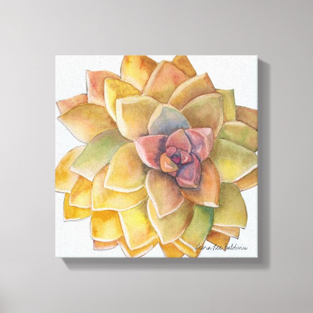 Toile Aquarelle Graptopetalum par Debra Lee Baldwin (Recto)