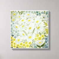 Aquarelle. Les fleurs du champ. Chamomille