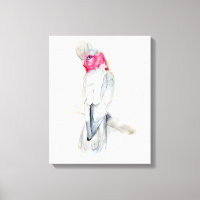 Aquarelle Opera Cockatoo