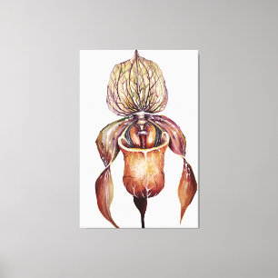 Toile Aquarelle Paphiopedilum Orchid en couleurs vives
