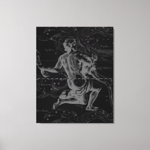 Toile Aquarius Zodiac Constellation Hevelius 1690