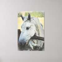 *~* AR22 Cheval blanc au-dessus de l'équine de clô