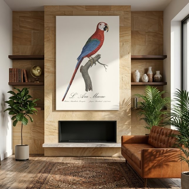 Toile Ara chloroptère (Red-and-green Macaw, Ara chloropterus. Canvas Print)
