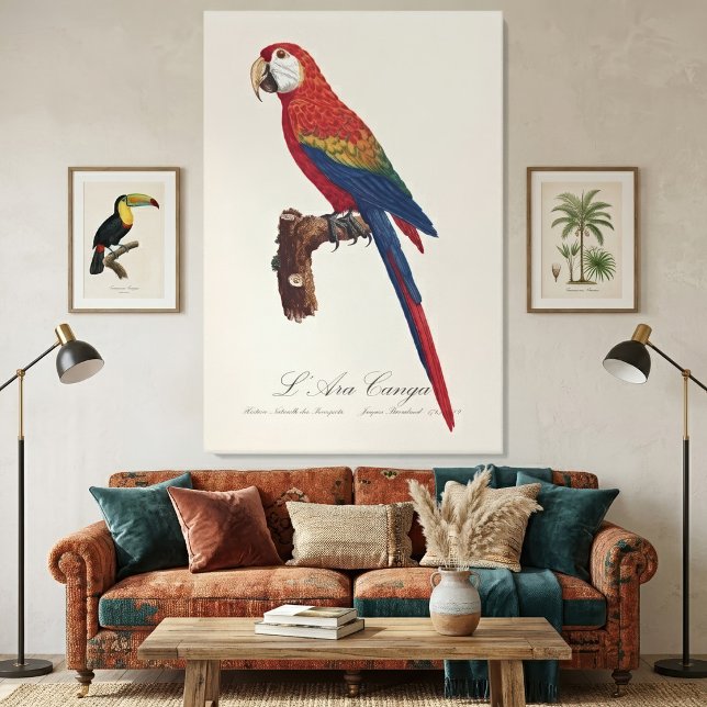 Toile Ara rouge ou Ara macao, Ara macao (Scarlet Macaw or Red-Breasted Macaw, Ara macao. Canvas Print)