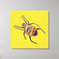 Araignée colorée art arachnien