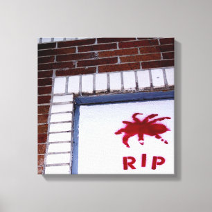 Toile araignée r.i.p.