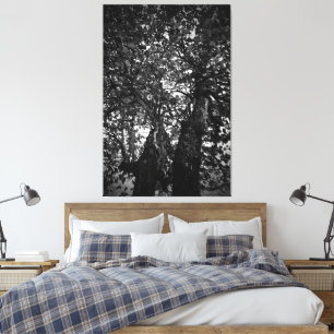 Toile Arbre